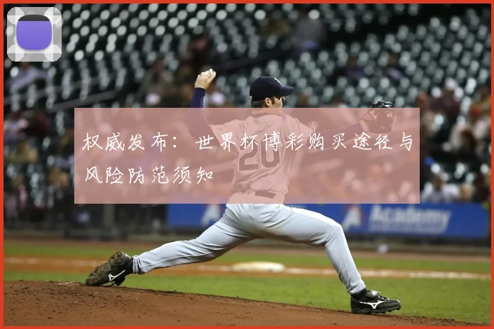 权威发布:世界杯博彩购买途径与风险防范须知