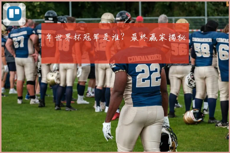 年世界杯冠军是谁？最终赢家揭秘