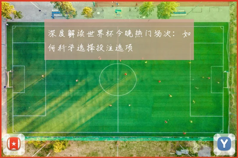 深度解读世界杯今晚热门场次：如何科学选择投注选项