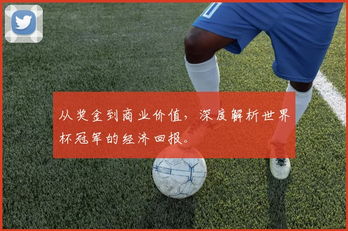 从奖金到商业价值，深度解析世界杯冠军的经济回报。
