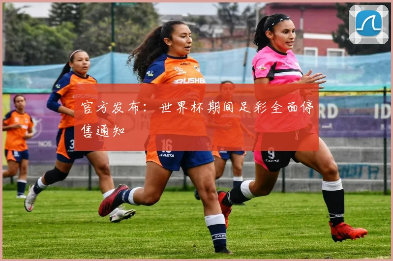 官方发布：世界杯期间足彩全面停售通知
